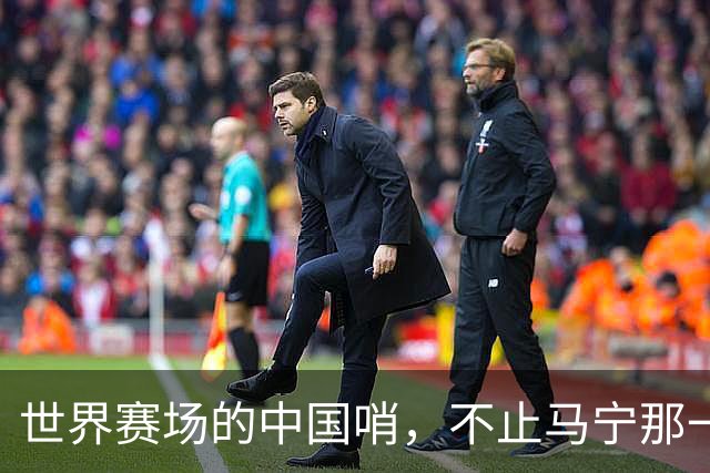 世界赛场的中国哨，不止马宁那一声