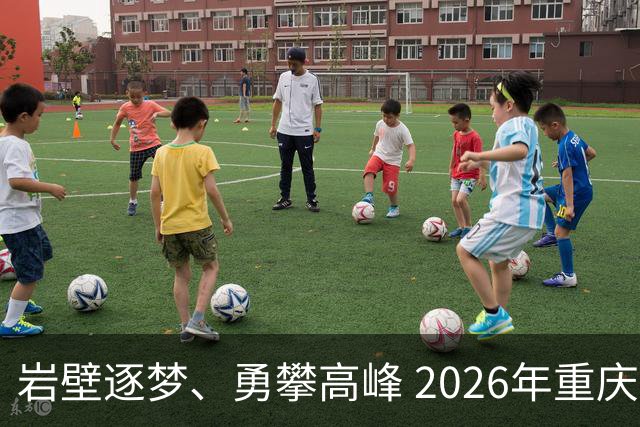 岩壁逐梦、勇攀高峰 2026年重庆市攀岩挑战赛落幕