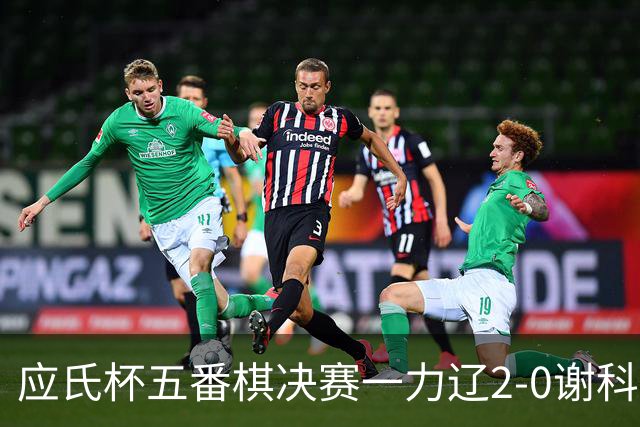 应氏杯五番棋决赛一力辽2-0谢科 率先拿到赛点