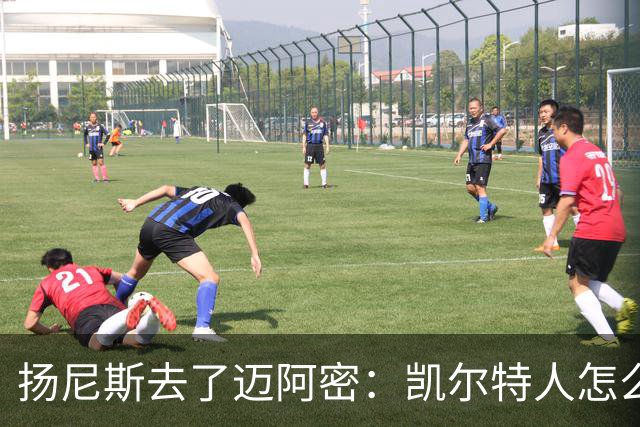 扬尼斯去了迈阿密：凯尔特人怎么办？